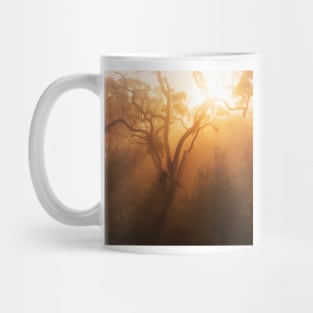 Atmosphere Mug